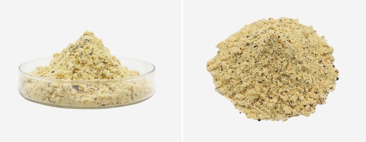 Freeze Dried Passion Fruit Powder 2