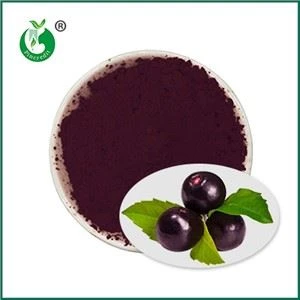 Чист прах от Acai