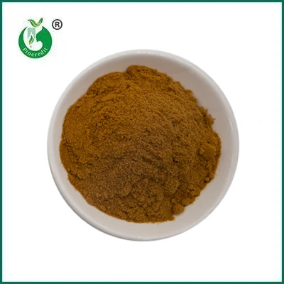 Pincredit Hot Sale органичен екстракт от гъби на прах