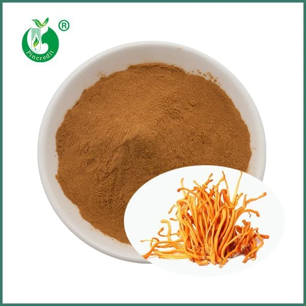 Cordyceps Militaris екстракт на прах