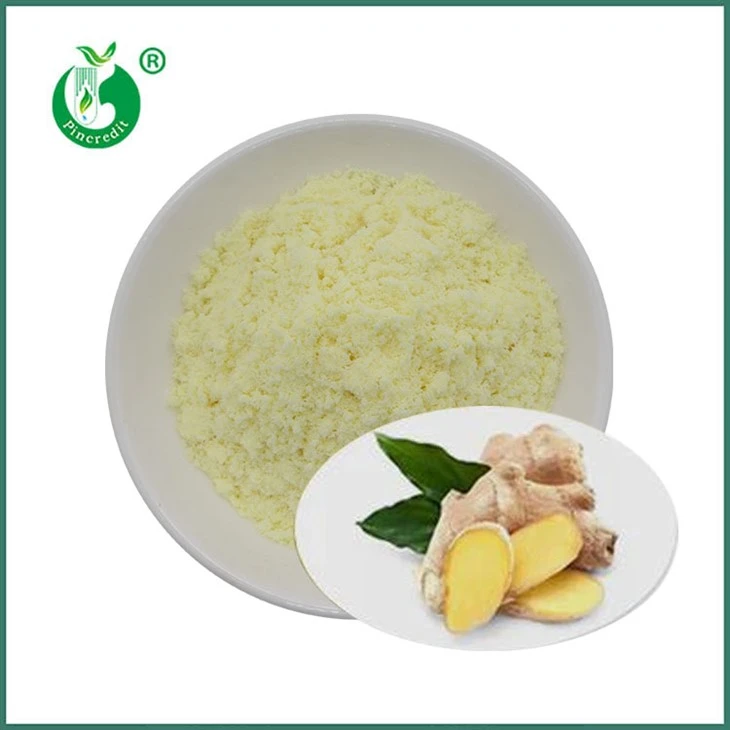 Gingerol прах